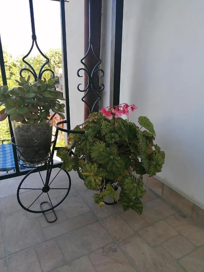 Villa Steffi Golden Sands 0*,